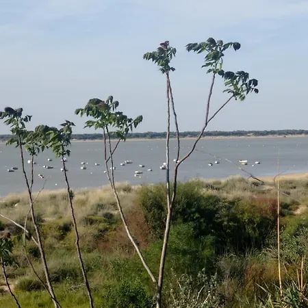 Crucero 2, La Jara * Sanlucar de Barrameda
