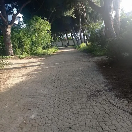 Crucero 2, La Jara *